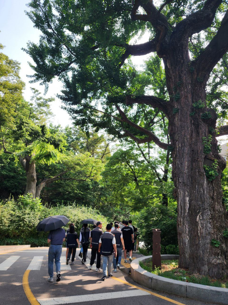 84238fd2f4eed060449d26dd98049cbd_1751259